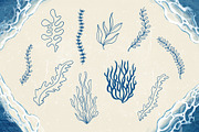 Seashells + Driftwood Procreate Set, a Brush Add-On by PrettyLittlePigs (Thumbnail 7 of 10)