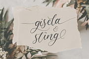 Claytona - Modern Calligraphy Script, a Script Font by Balpirick Studio (Thumbnail 2 of 7)