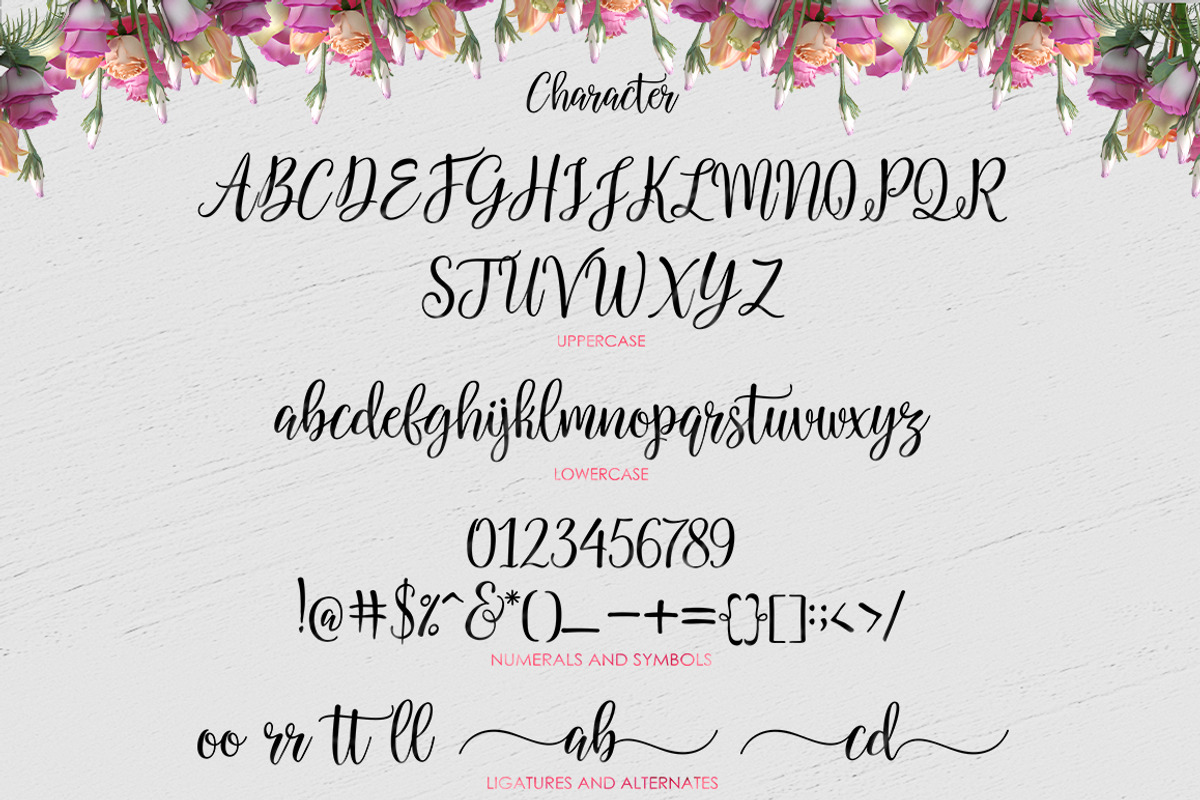 Salbatora Script preview 5