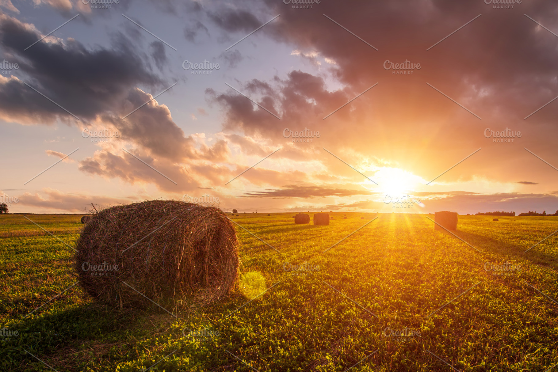 Scenic sunset over hay bales in a field. Golden light bathes the, a Nature Photo by Eugene_Photo