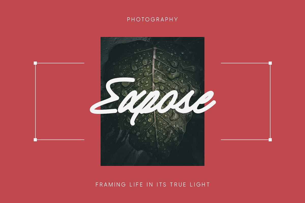 Copeline | Monoline Script, a Script Font by Lemonthe (Photo 5 of 8)
