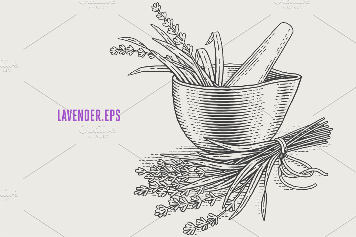 Herbs Bundle engravings, a Food Illustration by Irina Trusova (Photo 5 of 9)