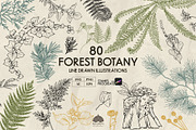 Forest Botany Line Art + Procreate, a Brush Add-On by Skliarova (Thumbnail 1 of 6)