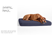 Pet Bed Mockups with Smart Object, a Product Mockup by mock-ups (Thumbnail 9 of 13)