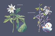 Vintage Flower Illustrations Bundle, an Illustration by Greta Ivy (Thumbnail 30 of 62)