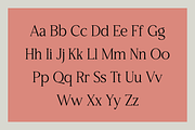 Welcome to Lettering, a Serif Font by RockboyStd (Thumbnail 9 of 12)