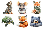 Forest Animals Watercolor Clipart, an Illustration by Daily.Designs (Thumbnail 5 of 5)