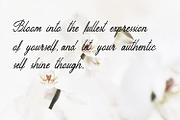 Peuttya Deffunte Sophisticated Font, a Script Font by Maulana Creative (Thumbnail 3 of 7)