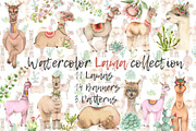 Lama in cactus collection, an Animal Illustration by IvanFet (Thumbnail 1 of 5)