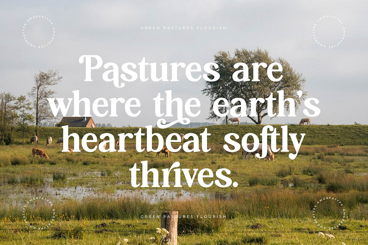 Hasbor Modern Alternate Serif Font, a Serif Font by AmorfaType (Photo 4 of 11)