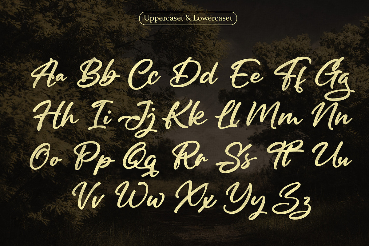 Dignetta - Casual Brush Script, a Script Font by Inviline.co (Photo 2 of 10)