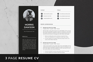 Resume Template 3 Page