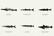 Fish Illustrations, an Object Graphic by Nomad Visuals (Thumbnail 8 of 11)