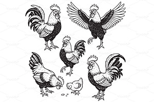 Set of various rooster and hen, an Animal Illustration by yod67