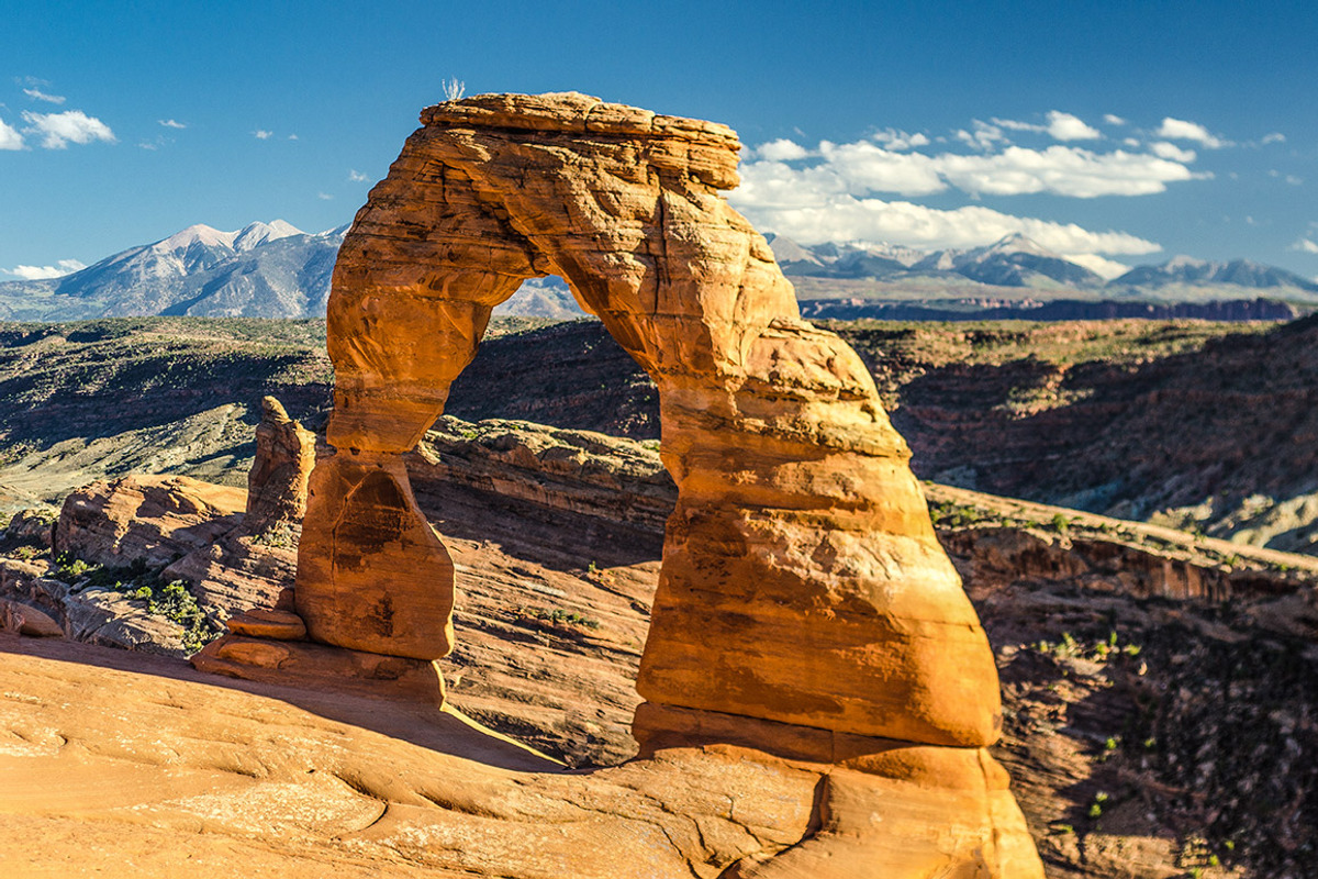 Bold Lightroom Presets preview 2