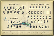 Metrobrew Vintage Typeface, a Font by Jonas Stensgaard (Thumbnail 4 of 11)