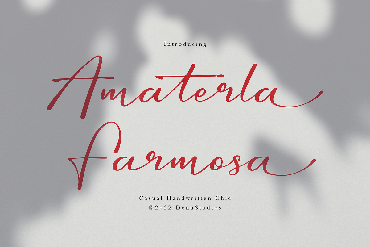 Amaterla Farmosa Casual Handwritten, a Script Font by Denustudios (Photo 8 of 8)