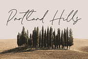 Melisma Signature Font, a Script Font by Timurtype (Thumbnail 3 of 7)