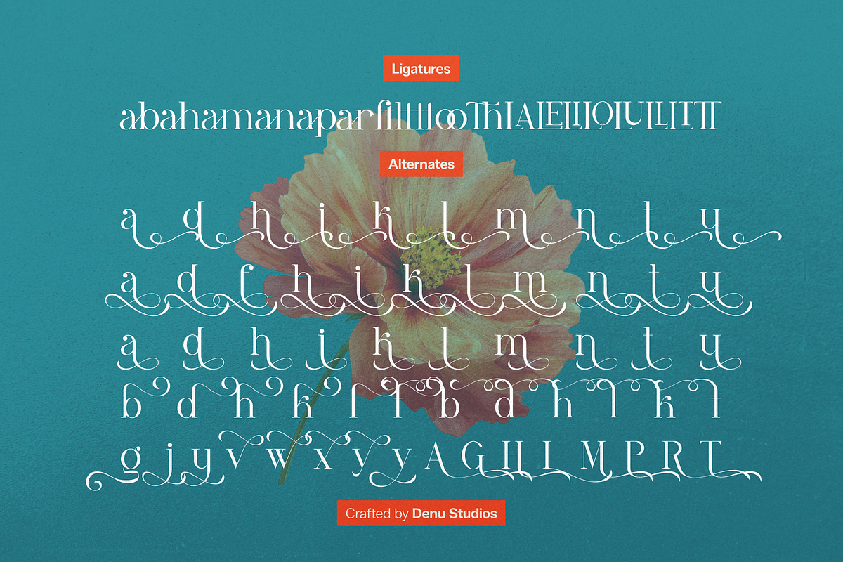 Lyodia Lover | Modern Display Serif, a Serif Font by Denustudios (Photo 11 of 11)