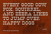 Revslonia, a Serif Font by graphicook (Thumbnail 4 of 10)