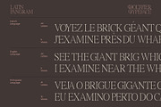 Doltcher Display Serif Typeface, a Serif Font by Designsation (Thumbnail 7 of 10)
