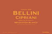 Union Republic, a Sans Serif Font by Komet & Flicker (Thumbnail 7 of 12)