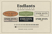Endlants, a Serif Font by Drizy (Thumbnail 9 of 9)