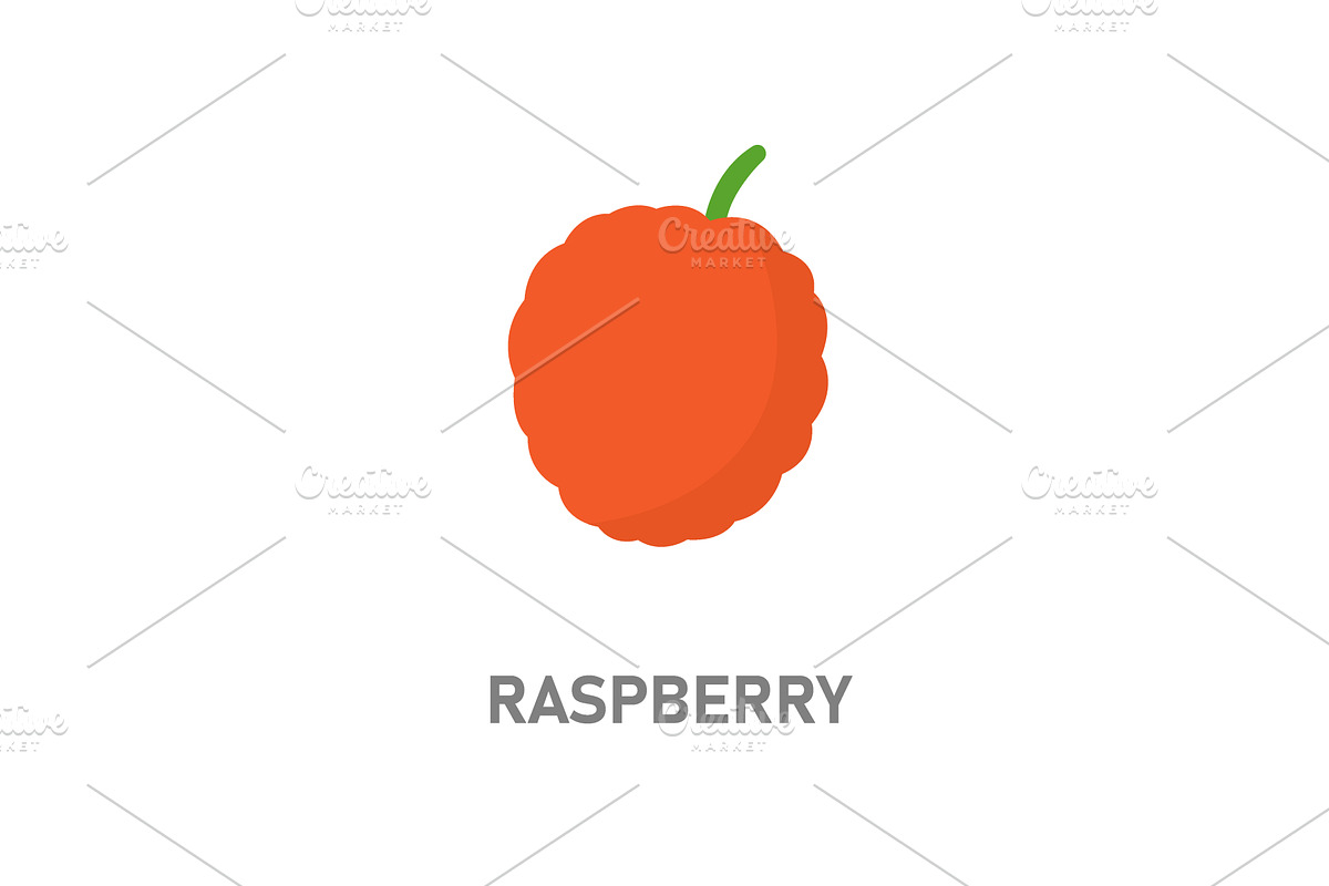 Raspberry fruit illustration. Bright, a Food Illustration by GraphiShop
