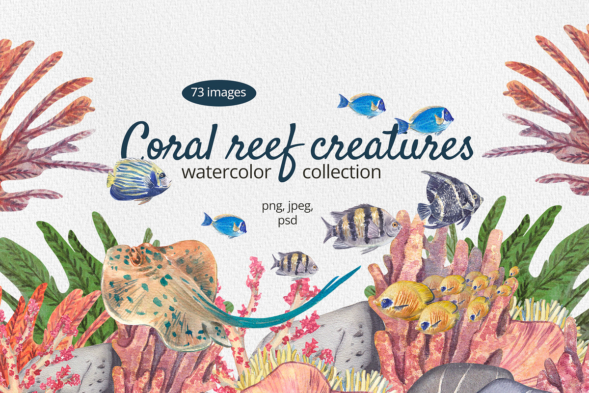Coral Reef Watercolor Clipart, an Animal Illustration by Nastya Che (Photo 1 of 14)