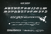 Black Ravens - Dry Brush, a Font by Arterfak Project (Thumbnail 10 of 14)