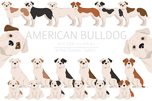 American Bulldog Clipart