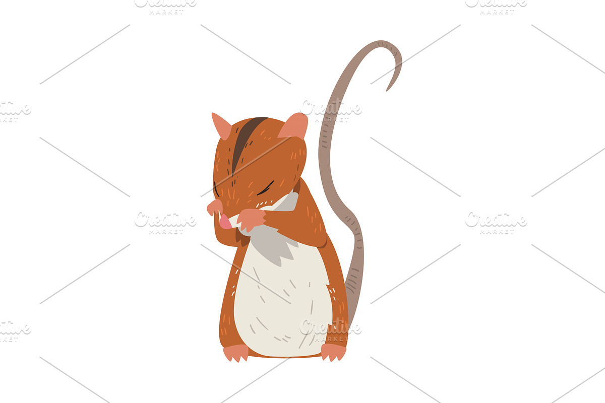 Field Mouse Standing on Hind Legs, an Animal Illustration by TopVectors