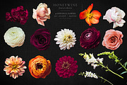 Honeywine Floral Art Collection, an Object Graphic by Eclectic Anthology (Thumbnail 17 of 19)