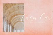 Bomtrys Script Font & Illustrations, a Script Font by CallMeStasia (Thumbnail 9 of 13)