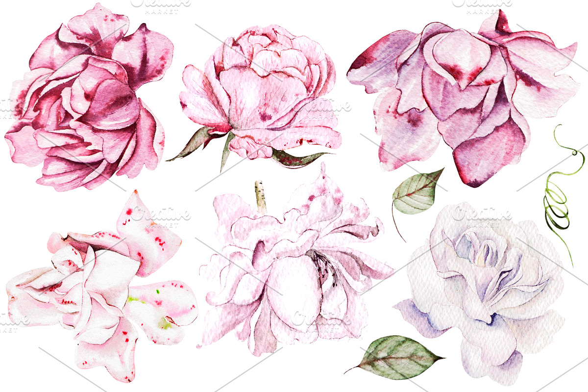 Watercolor Wedding Tender Flowers, an Object Graphic by Knopazyzy (Photo 2 of 17)