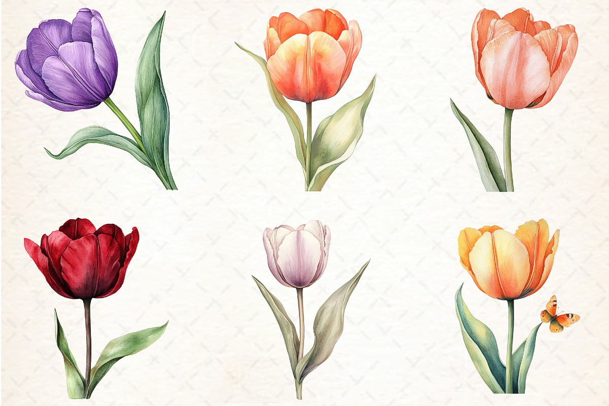 Watercolor Tulip Clipart, an Illustration by Libby Wishes (Photo 3 of 5)