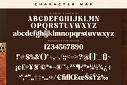 Beatnik Garden Decorative Serif, a Serif Font by Letterena Studios (Thumbnail 13 of 15)