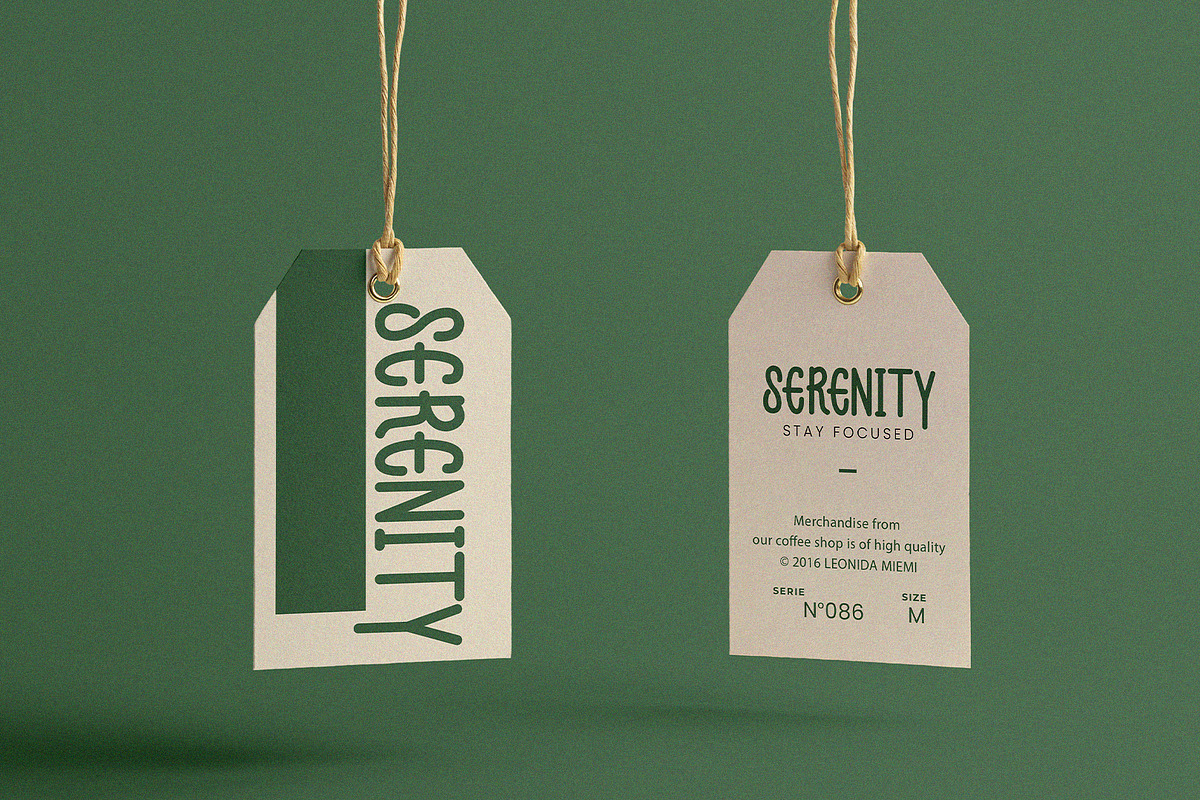 Chic Serenity - Serif Font Type, a Script Font by ArtiXLabs (Photo 7 of 11)
