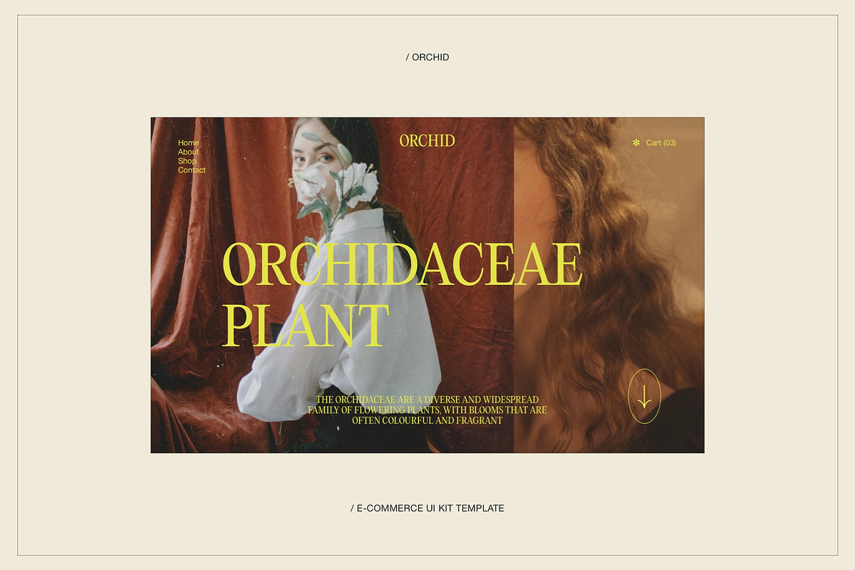 Orchid | E-commerce UI KIT Template, a Landing Page Template by Skolastika Phoebe (Photo 2 of 7)
