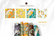 Watercolor citrus orange clipart, an Illustration by MariGraphic boutique (Thumbnail 9 of 10)