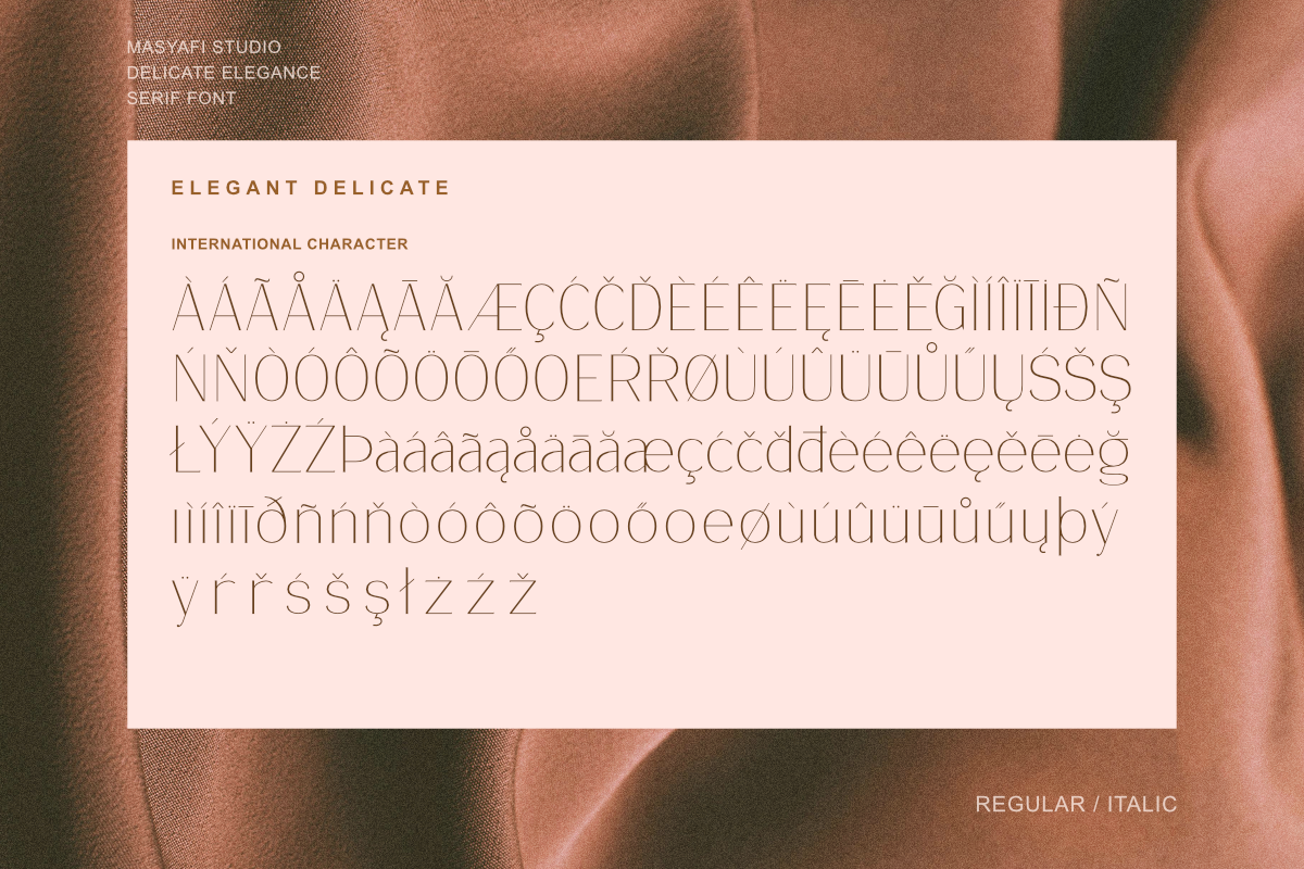 Delicate Elegance - Elegant Serif, a Serif Font by Masyafi Studio (Photo 3 of 9)
