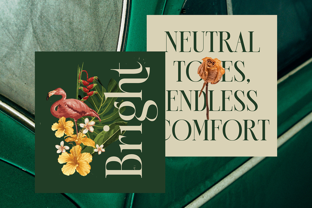 Karosa Modern Serif Display Font, a Serif Font by timelesstype.co (Photo 15 of 20)