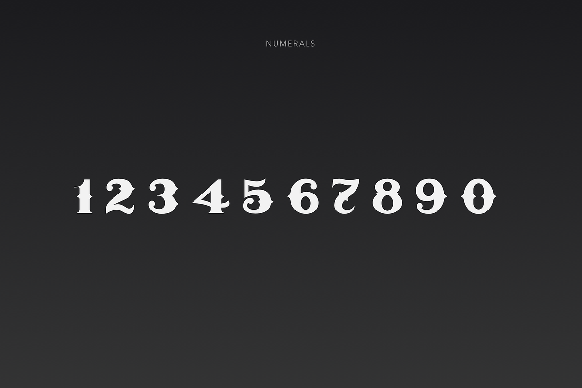 ARGENTUM - Vintage Serif Font, a Serif Font by vix.vix (Photo 5 of 6)