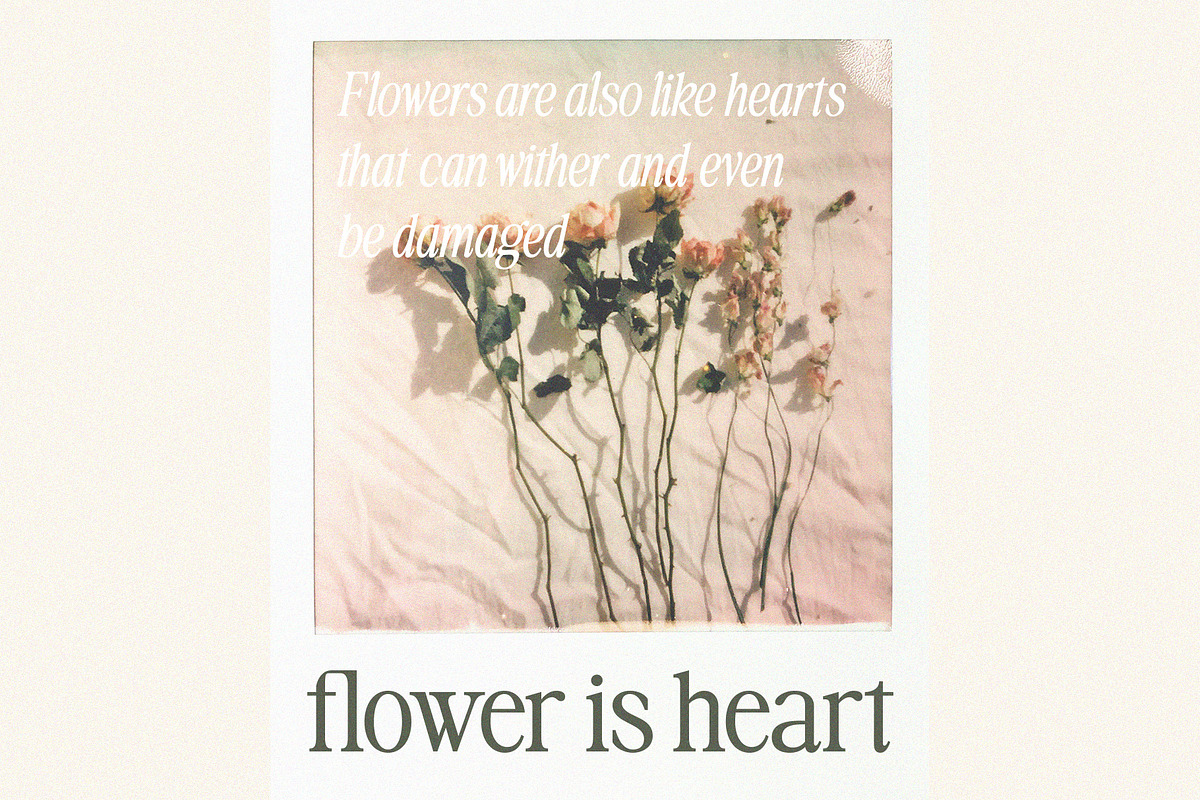 Greatdesk Serif Typeface, a Serif Font by Violet Natural (Photo 4 of 14)