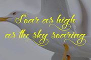 Hey Jintan, a Script Font by Gatype (Thumbnail 5 of 10)