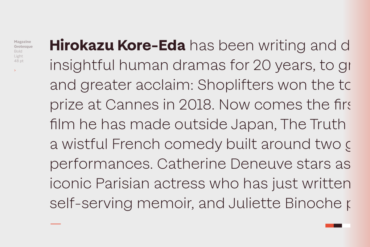 Magazine Grotesque, a Sans Serif Font by Latinotype (Photo 14 of 15)