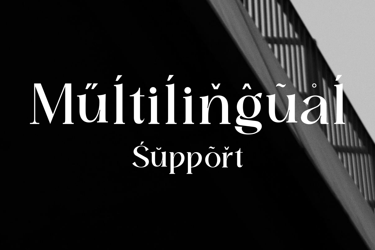 Domilla, a Serif Font by zaaintype (Photo 11 of 12)