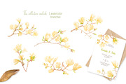 Magnolia blossom watercolor, a Decorative Illustration by My Wondercolor (Thumbnail 2 of 6)