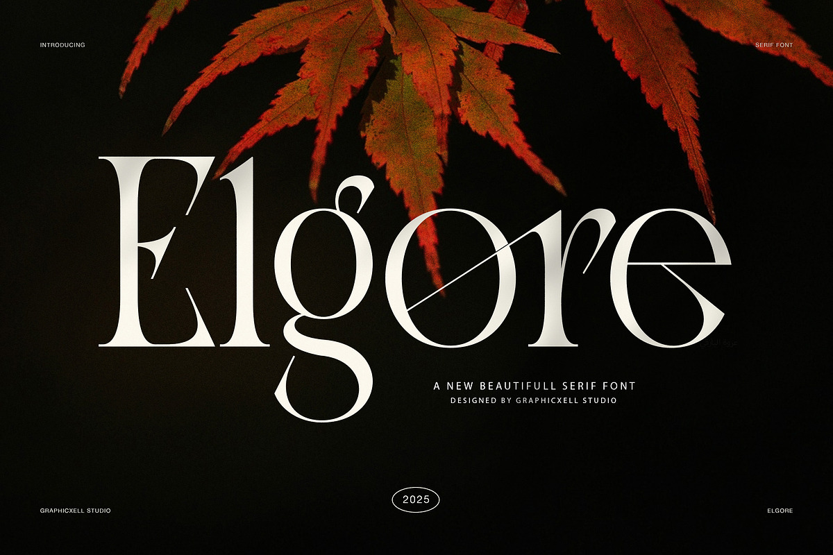 Elgore Elegant Modern Serif Font, a Serif Font by Graphicxell (Photo 1 of 8)