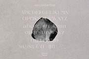 Bargemo – Modern Elegant Serif, a Serif Font by BrandSemut (Thumbnail 10 of 10)